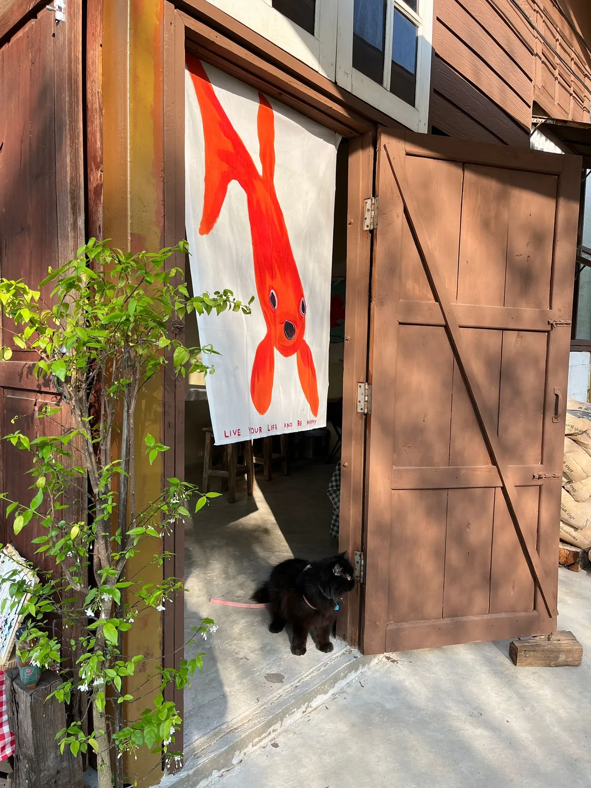 Wooden building entrance with red fish banner and black dog.